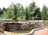 Hsaung Thazin Hotel พินอูลวิน ภายนอก รูปภาพ